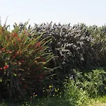 Apartamento Stazzu Giasti