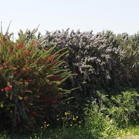 Apartman Stazzu Giasti