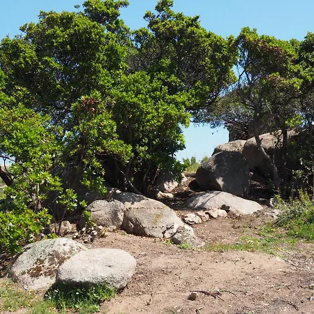 Stazzu Giasti * Aglientu