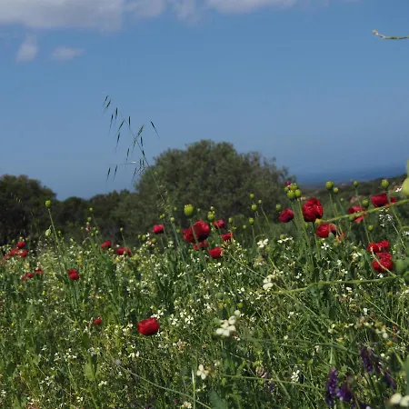 Stazzu Giasti Apartament Aglientu