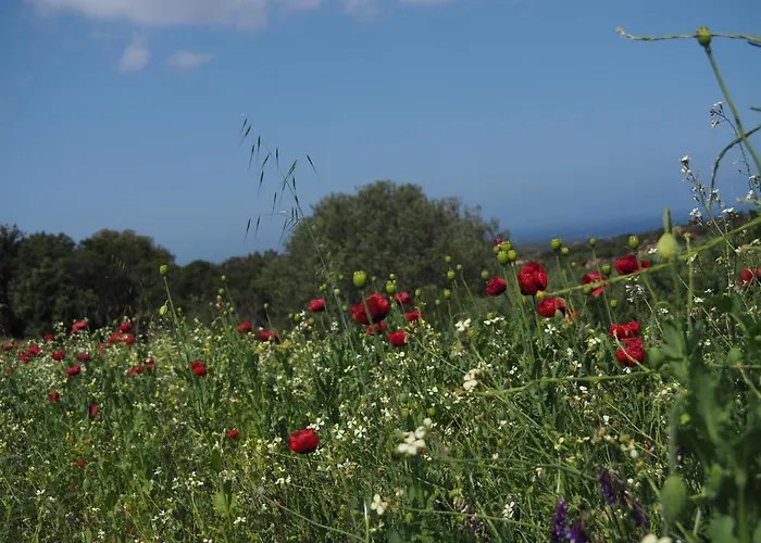 Stazzu Giasti Appartamento Aglientu