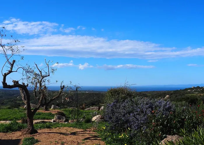 Stazzu Giasti * Aglientu